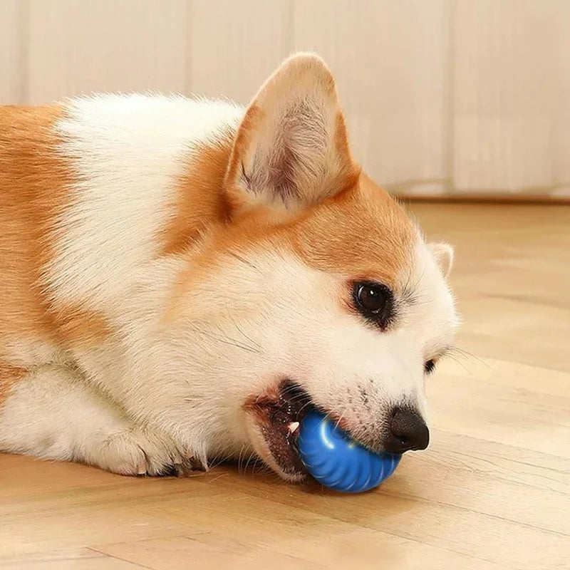 Bolinha elétrica para pets