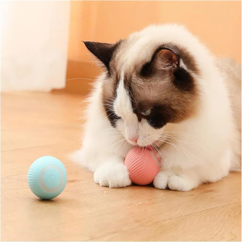 Bolinha elétrica para pets